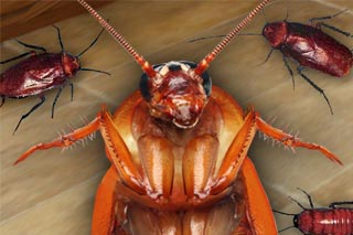 Midwest Pest Commercial